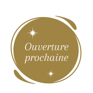 Copie de Rose noir Minimaliste typographique Boutique en ligne Couvertures de Story Instagram